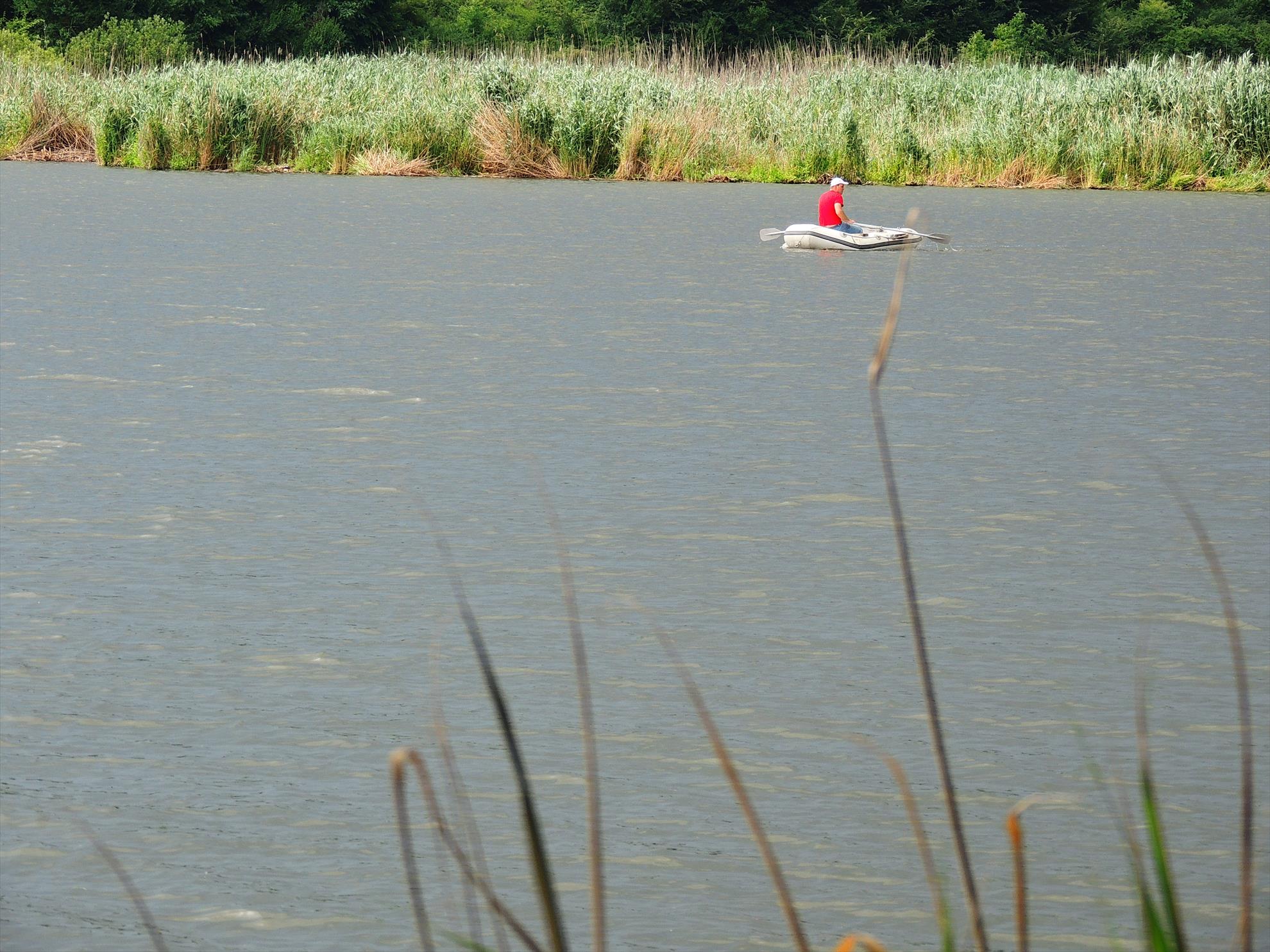 Tancabesti 14 - 16 iunie 2015 - dscn6774.JPG